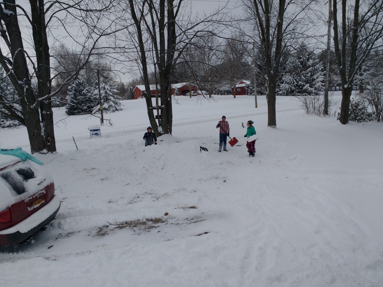 They are shoveling the lawn to make an igloo on this snow day!